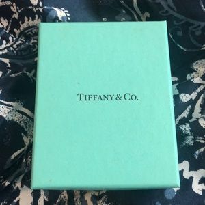 Infinity Silver Tiffany and Co. Necklace